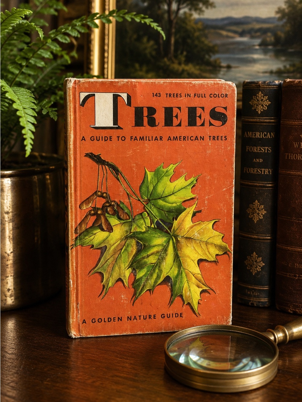 Vintage 1956 Golden Nature Guide Trees Hardcover Botanical Field Guide